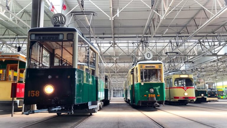 Historyczne tramwaje stojące obok siebie w hali