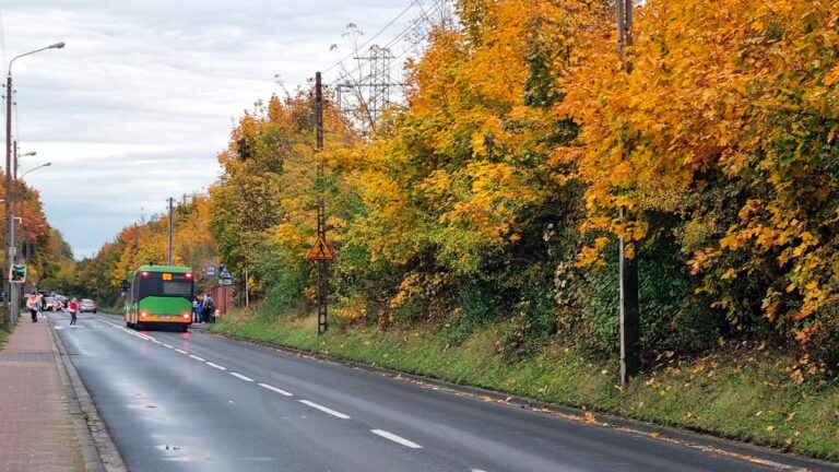 Drzewa z czerwono-żółtymi liśćmi, w tle autobus na przystanku przy cmentarzu Miłostowo